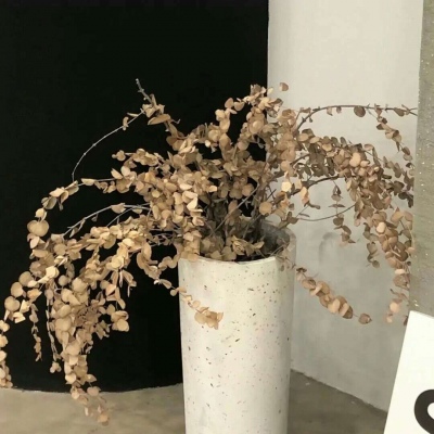 宜阳福瑞交流群